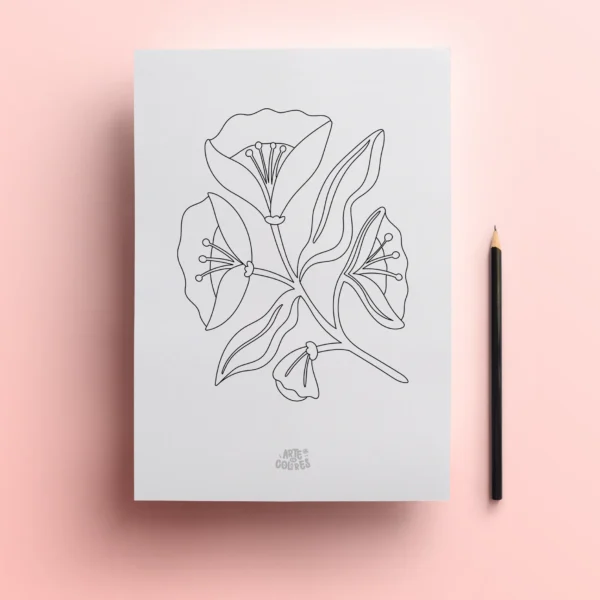 Pack 6 láminas dibujos - Imagen 6
